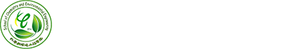  好色视频